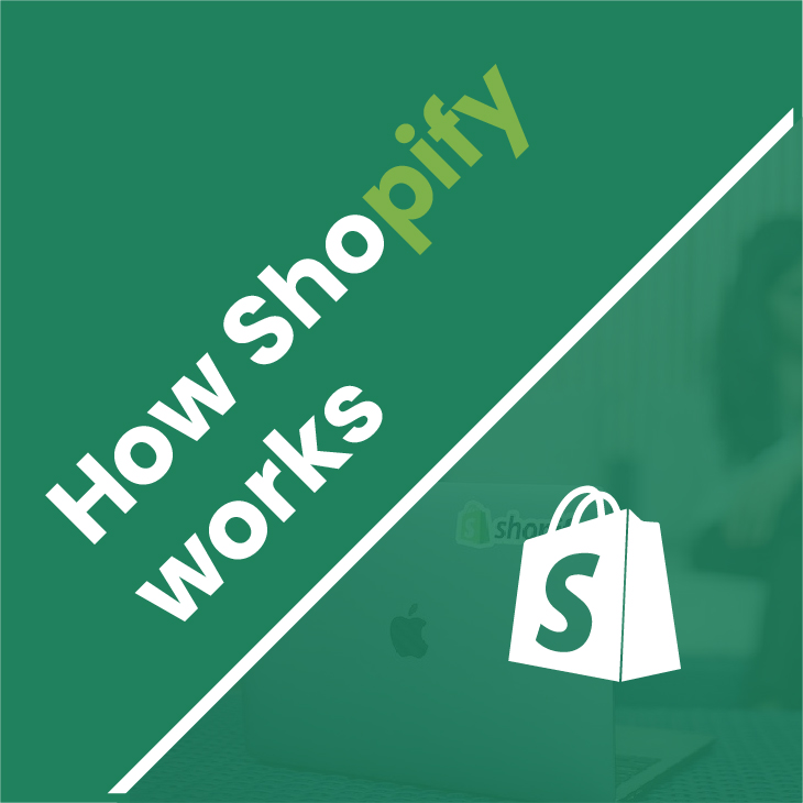 shopify work 06