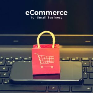Which eCommerce Platform is the Best for Small Business